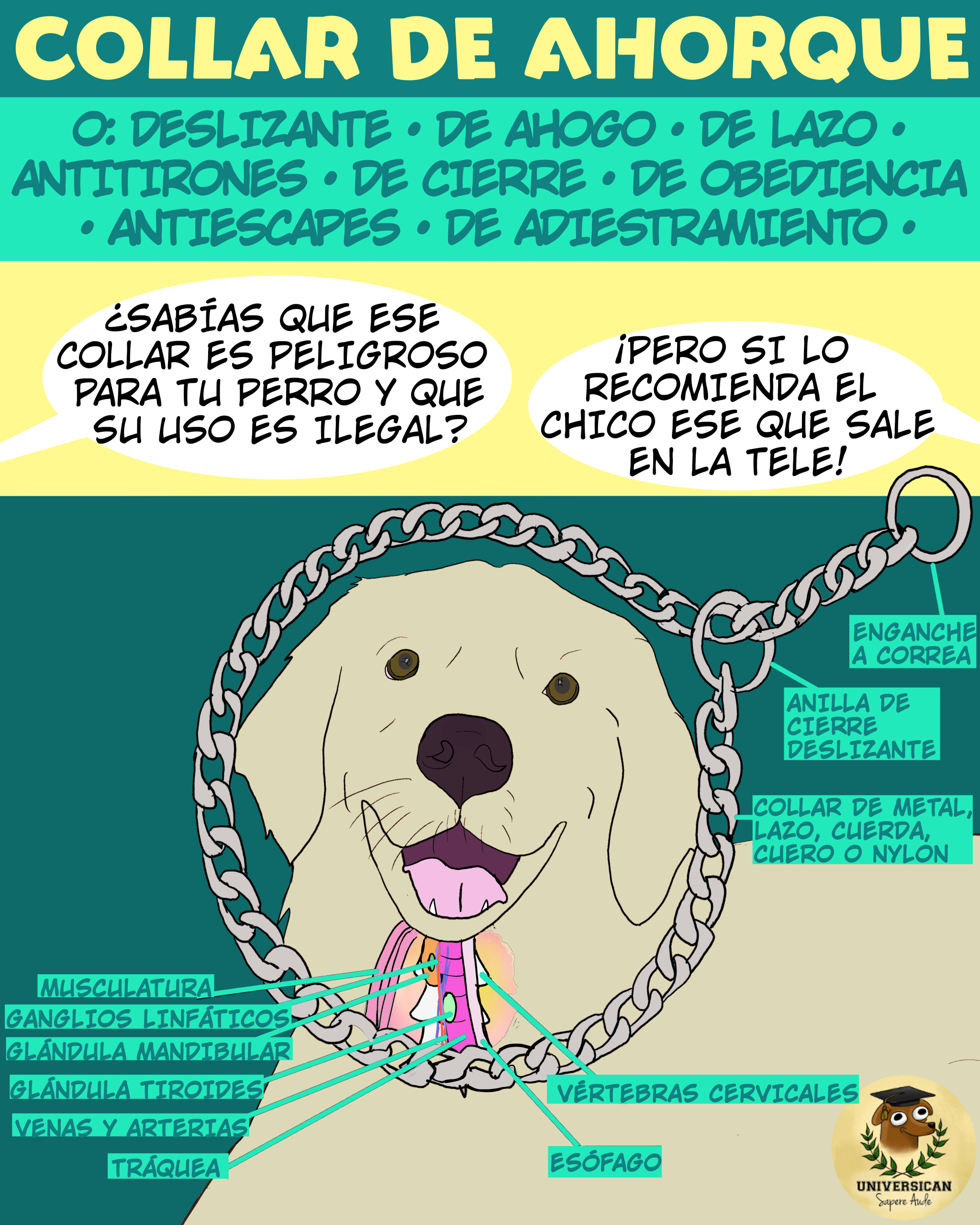 Collar de ahorque y su impacto en el bienestar del perro.