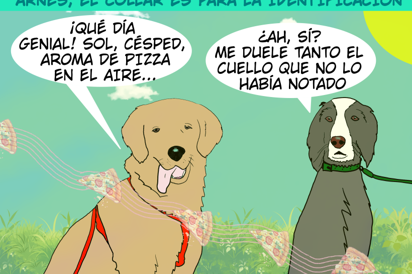 Dos perros se encuentran en el parque, uno lleva arnés y está muy relajado, el otro lleva collar y comenta que le duele el cuello.