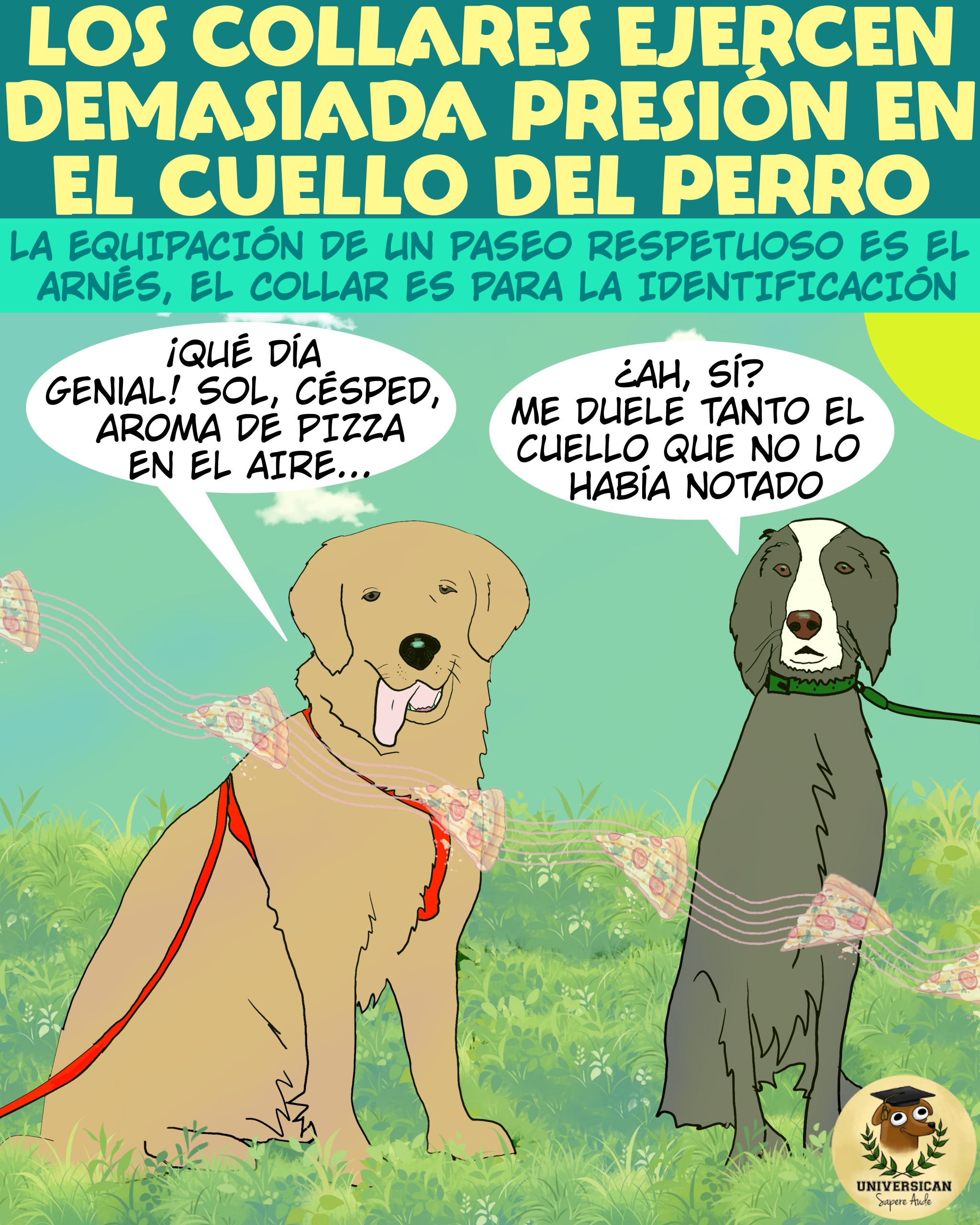 Dos perros se encuentran en el parque, uno lleva arnés y está muy relajado, el otro lleva collar y comenta que le duele el cuello.
