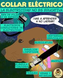 Ilustración anatómica que muestra el impacto de los collares eléctricos sobre el cuello del perro y sus estructuras vulnerables.