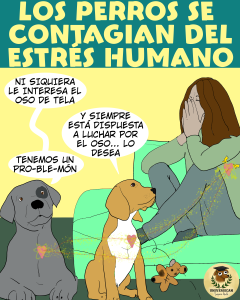Una mujer sentada en el sofá, visiblemente estresada y abrumada, es observada de cerca por sus perros. Ellos la miran con preocupación, reflejando en su expresión y postura el mismo nerviosismo y tensión que perciben en su compañera humana, mostrando cómo el estrés de su humana también los afecta a ellos.