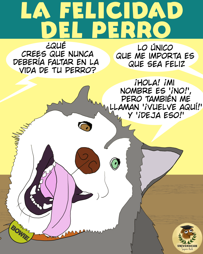 Perros felices Un Un perro comenta que cree que se llama "No" y "Deja eso" mientras su humana dice que solamente le importa que el perro sea feliz. comenta que cree que se llama "No" y "Deja eso" mientras su humana dice que solamente le importa que el perro sea feliz.