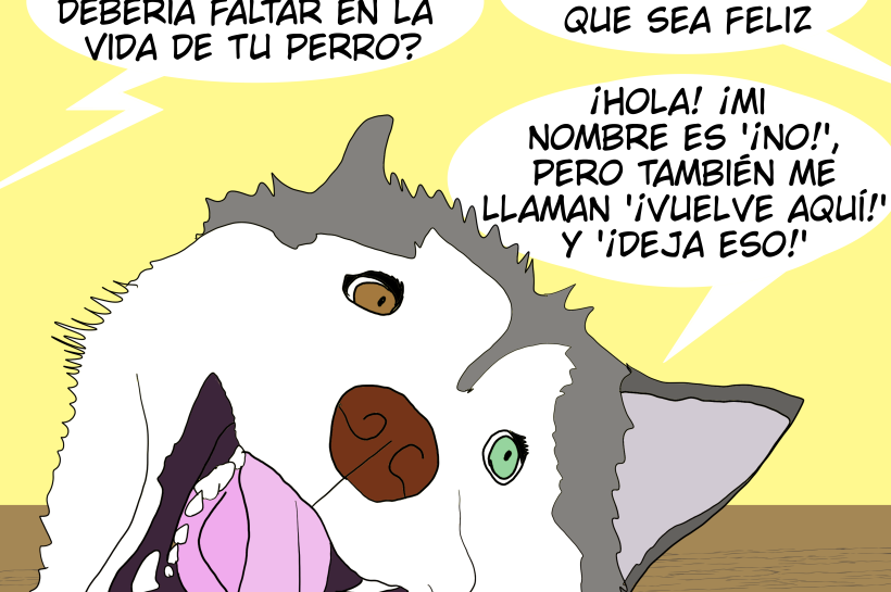Un Un perro comenta que cree que se llama "No" y "Deja eso" mientras su humana dice que solamente le importa que el perro sea feliz. comenta que cree que se llama "No" y "Deja eso" mientras su humana dice que solamente le importa que el perro sea feliz.