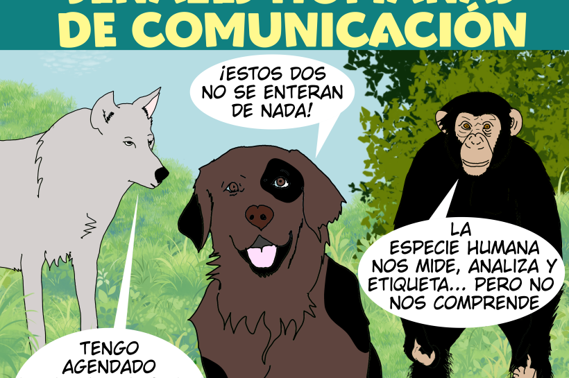 Los perros superan a los lobos y a los grandes simios en interpretar señales humanas de comunicación.