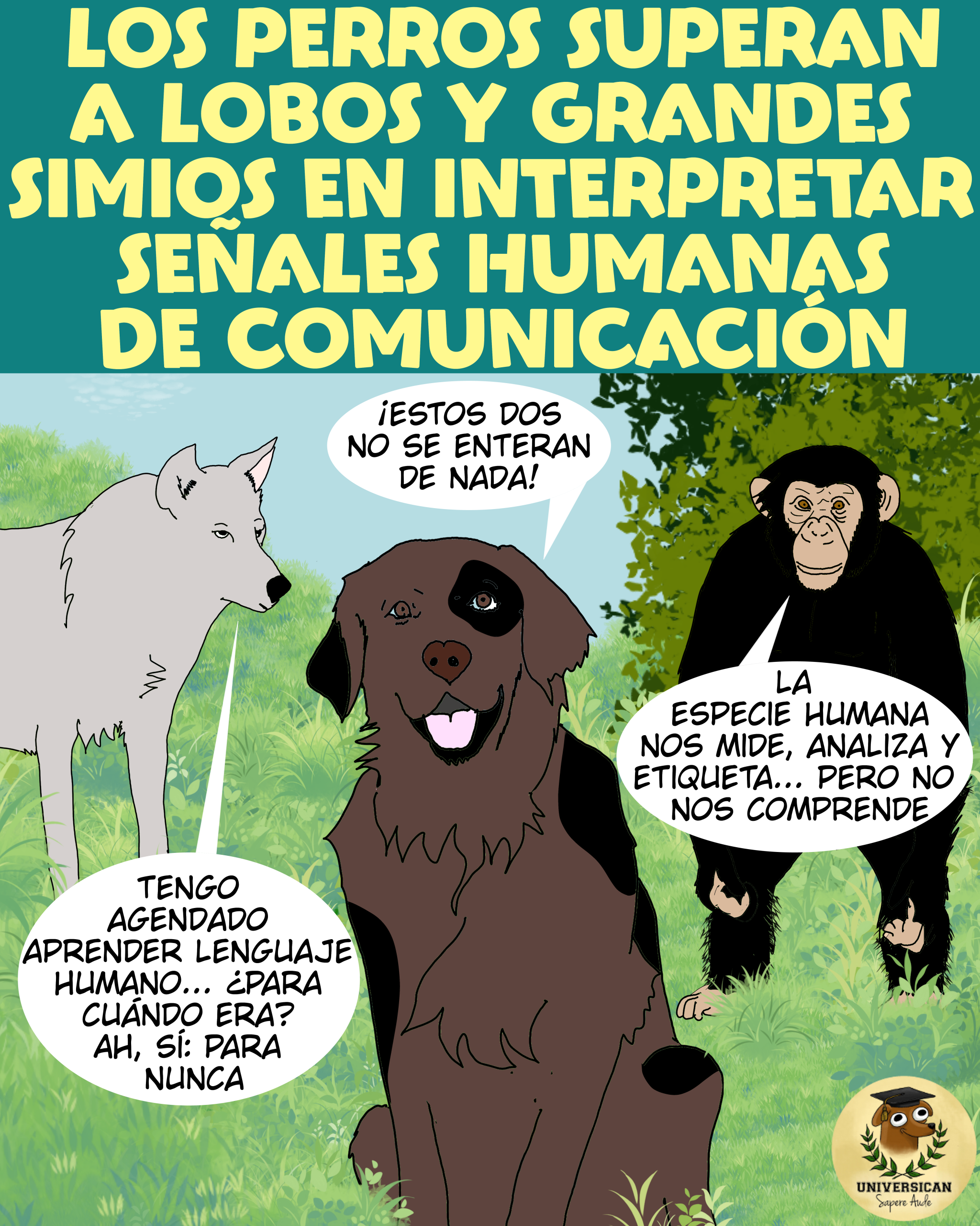 Los perros superan a los lobos y a los grandes simios en interpretar señales humanas de comunicación.