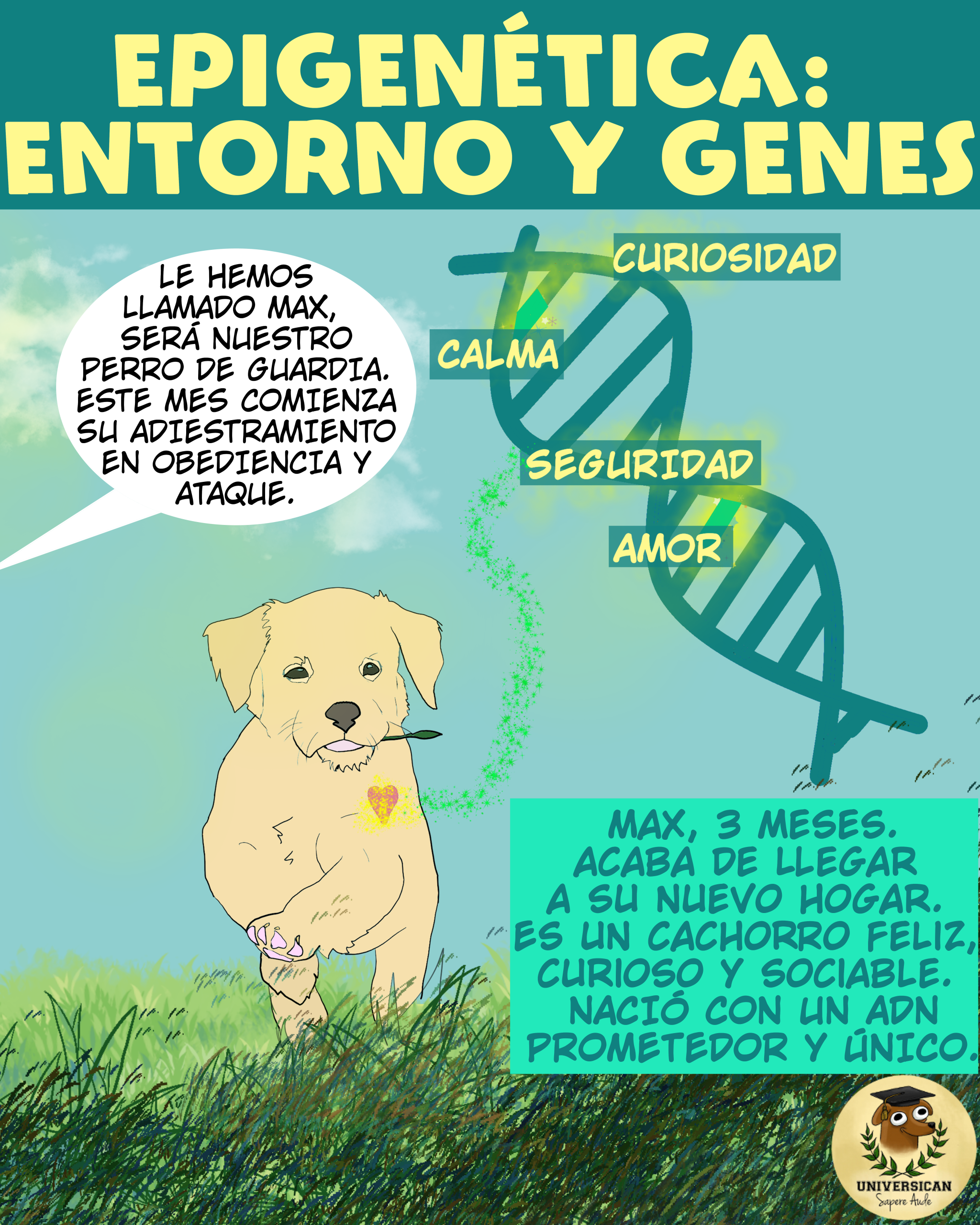 Ilustración educativa sobre epigenética con un cachorro en un jardín. Incluye una cadena de ADN con palabras clave como 'curiosidad', 'calma', 'seguridad' y 'amor'. Alguien comenta que este mes comenzará su entrenamiento para guardia y ataque.