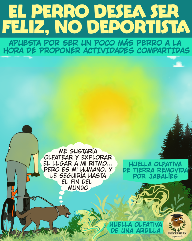 La imagen muestra a un perro atado a una bicicleta en movimiento. El perro piensa: “Me gustaría olfatearlo todo y explorar a mi propio ritmo, pero es mi humano, y lo seguiría hasta el fin del mundo.” En el paisaje aparecen señales visuales de huellas olfativas, como la tierra removida por jabalíes, representando los aromas que el perro detecta y su deseo de explorar el entorno.