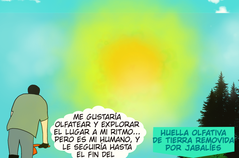 La imagen muestra a un perro atado a una bicicleta en movimiento. El perro piensa: “Me gustaría olfatearlo todo y explorar a mi propio ritmo, pero es mi humano, y lo seguiría hasta el fin del mundo.” En el paisaje aparecen señales visuales de huellas olfativas, como la tierra removida por jabalíes, representando los aromas que el perro detecta y su deseo de explorar el entorno.
