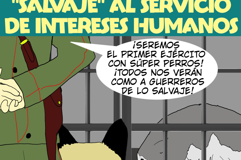 Loba angustiada en una jaula bajo vigilancia militar. Un soldado y su perro la observan con fines de cría experimental, en un entorno frío y opresivo que transmite tensión y control.