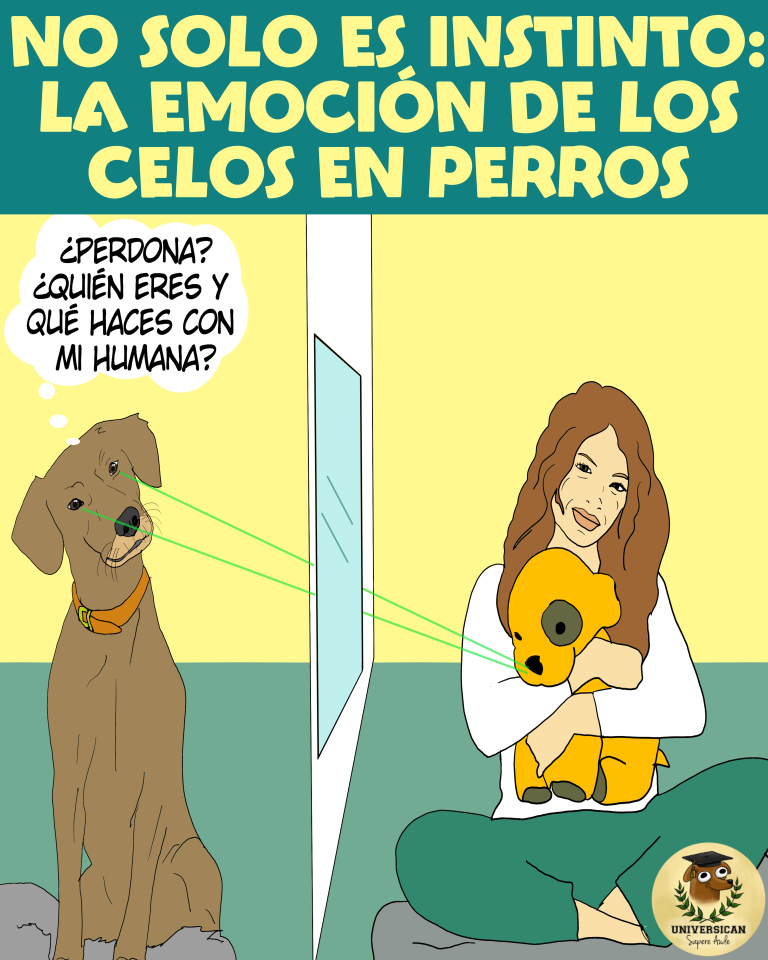 Un perro ve cómo su humana abraza lo que él piensa que es otro perro—en realidad, un peluche bastante realista—y no puede evitar sentir celos.