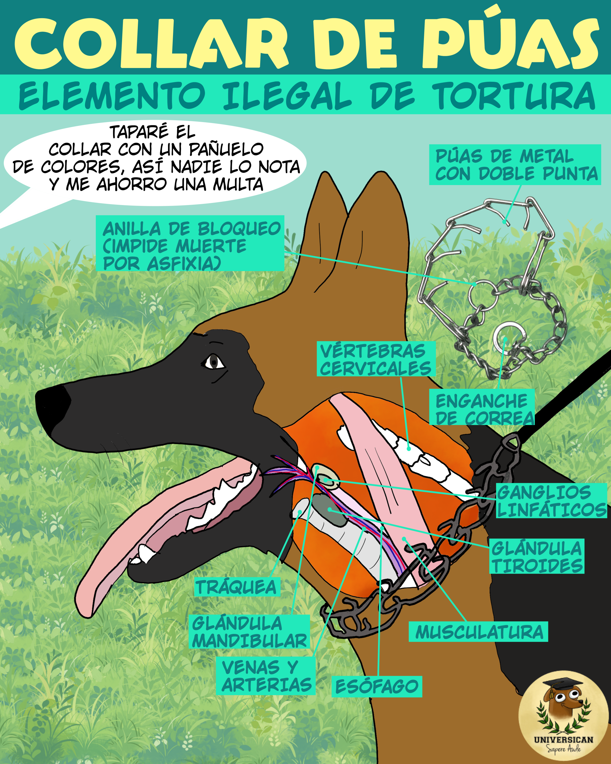 Ilustración educativa mostrando los daños de un collar de púas en el cuello de un perro, señalando órganos y estructuras afectadas. Resalta su ilegalidad y peligrosidad.