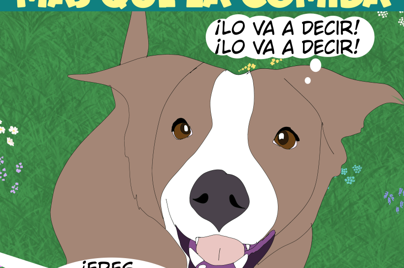 Los perros valoran el afecto tanto o más que la comida.