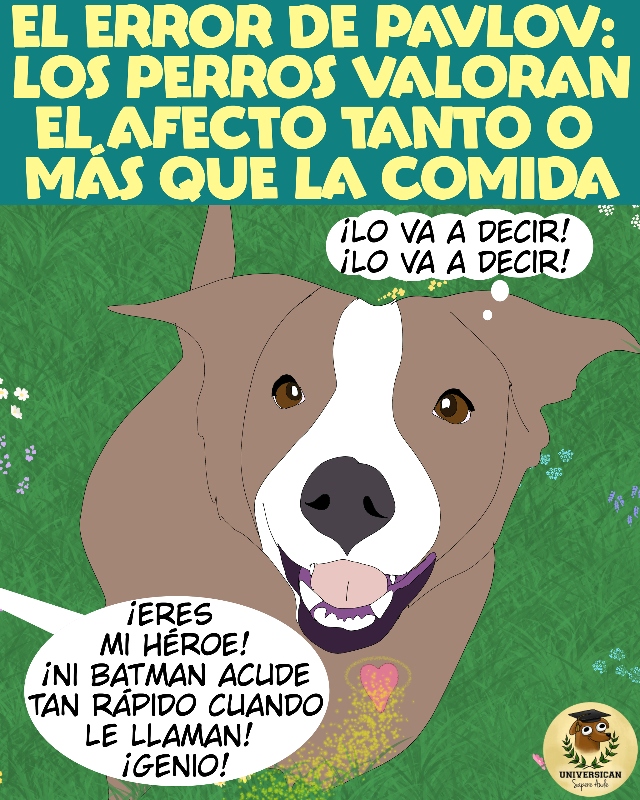 Los perros valoran el afecto tanto o más que la comida.