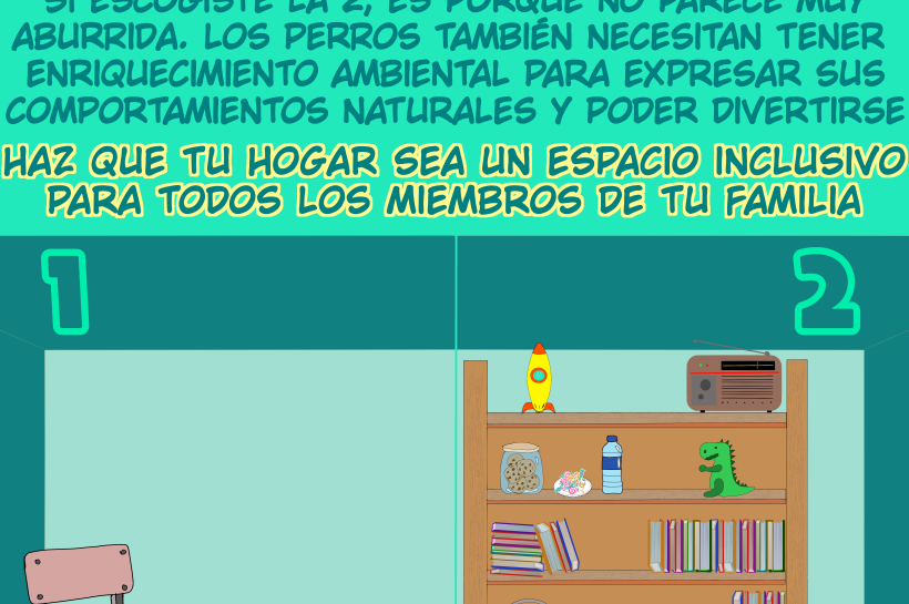 Ilustración comparativa de dos habitaciones, una sencilla y vacía, y otra enriquecida con objetos y estímulos, utilizada para explicar la importancia del enriquecimiento ambiental en los hogares cuando se convive con animales no humanos.