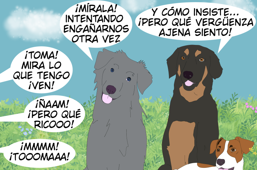 Tres perros observan incrédulos cómo su humana intenta engañarles diciendo "toma" aunque no tenga comida.