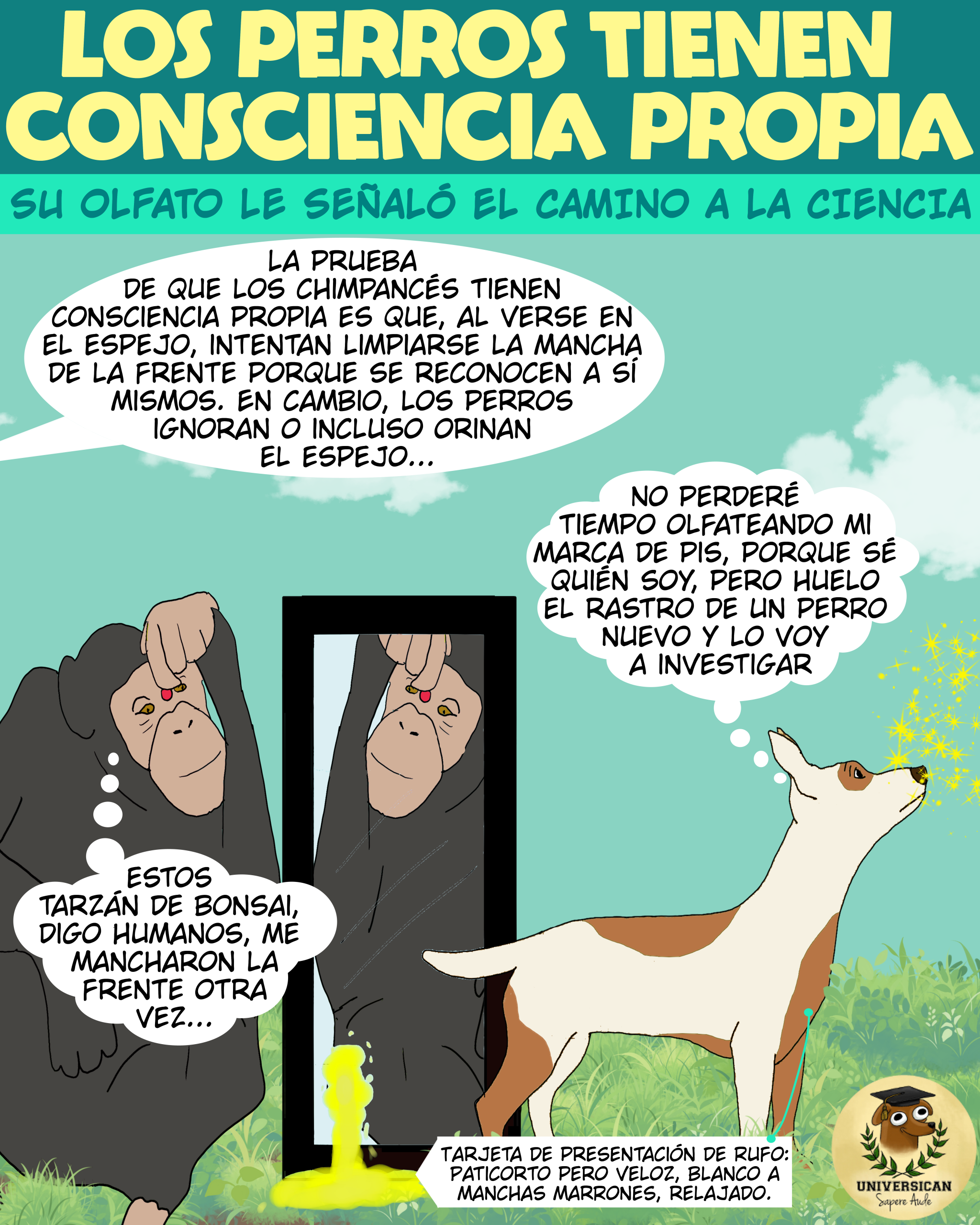 Un chimpancé se mira en un espejo y se toca una mancha en la frente, mientras hay un charco de orina debajo. A su lado, un perro blanco con manchas marrones huele el aire interesado. El texto explica que los chimpancés se reconocen en el espejo y los perros no, usando el olfato para reconocerse.