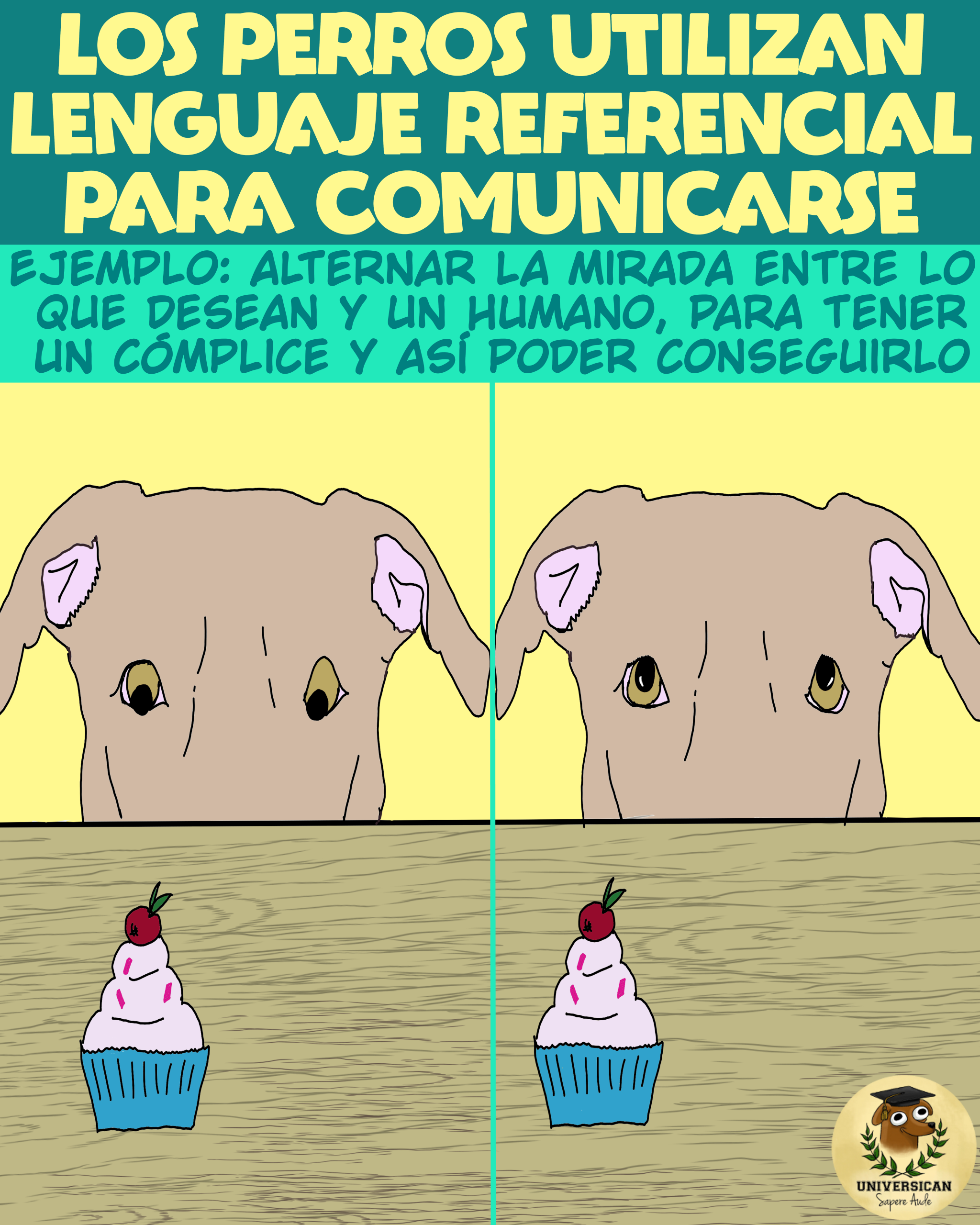 Un perro alterna miradas entre comida y su humano, usando así la función referencial del lenguaje para comunicarse.