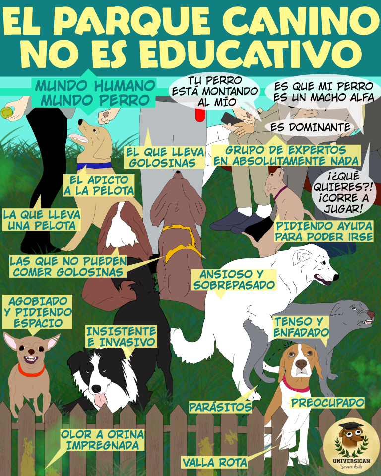 El parque canino no es educativo, una ilustración que señala cómo distintos temperamentos y comportamientos caninos pueden hacer del pipican una fuente de estrés.