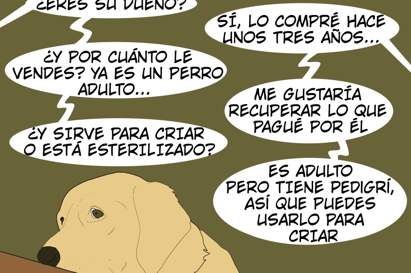 Un perro triste, mientras dos personas negocian su venta y hablan sobre quién es su dueño, su edad y si puede criar. Arriba, un texto que dice que los animales son familia y compañeros, no solo mascotas.