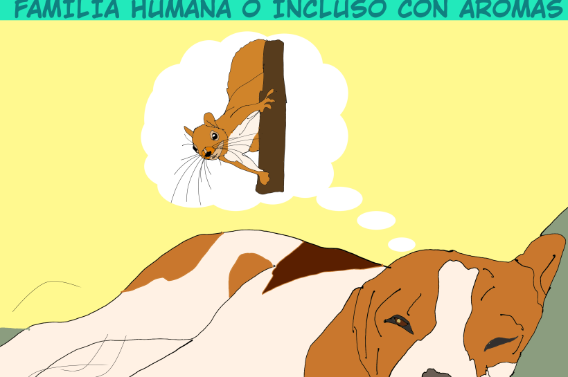 Un perro sueña con una ardilla que se cruzó durante su paseo.