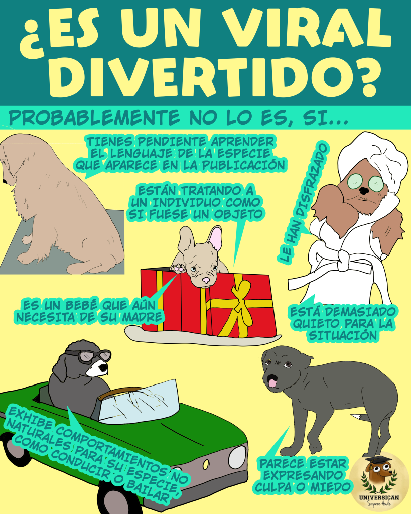 Virales Perros en situaciones como estar disfrazado de día de spa con rodajas de pepino en los ojos, asustados, siendo ofrecidos en una caja de regalos, conduciendo un coche o muy estresados, usados como ejemplos de lo que no es un viral divertido de internet.