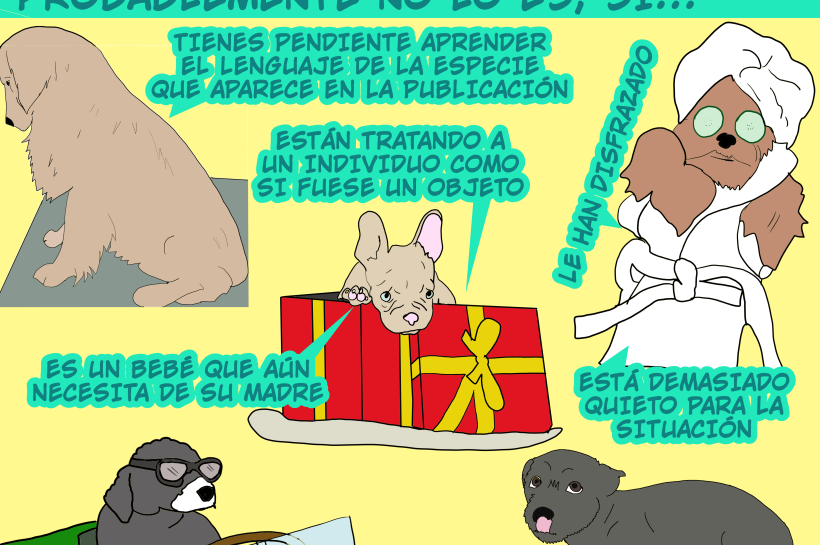 Perros en situaciones como estar disfrazado de día de spa con rodajas de pepino en los ojos, asustados, siendo ofrecidos en una caja de regalos, conduciendo un coche o muy estresados, usados como ejemplos de lo que no es un viral divertido de internet.