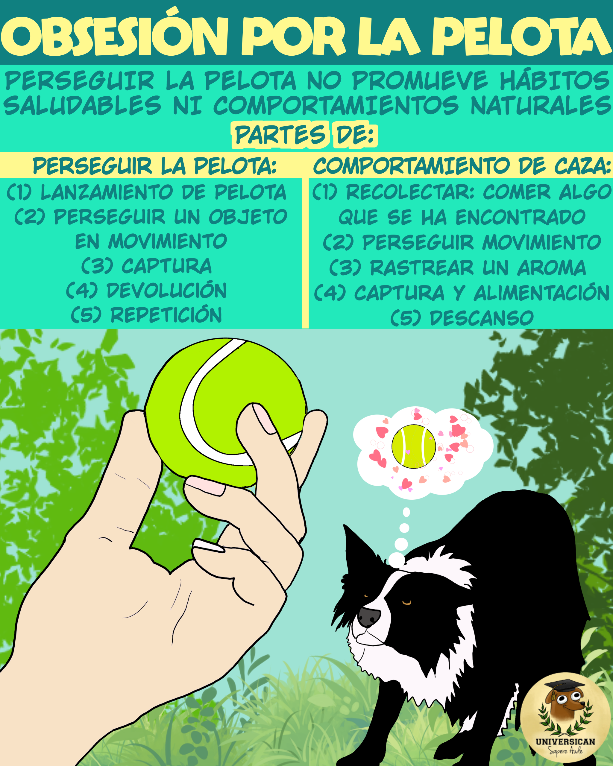 Un perro mira fijamente una pelota mientras una mano está por lanzarla, el título dice que perseguir la pelota no promueve hábitos saludables ni emula comportamientos naturales.