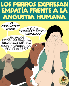 Dos perros se muestran preocupados ante la angustia de su humana, mostrando empatía y comportamientos de consuelo hacia ella.