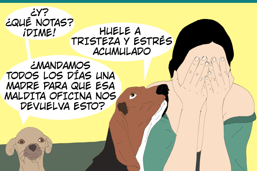 Empatía y perros Dos perros se muestran preocupados ante la angustia de su humana, mostrando empatía y comportamientos de consuelo hacia ella.