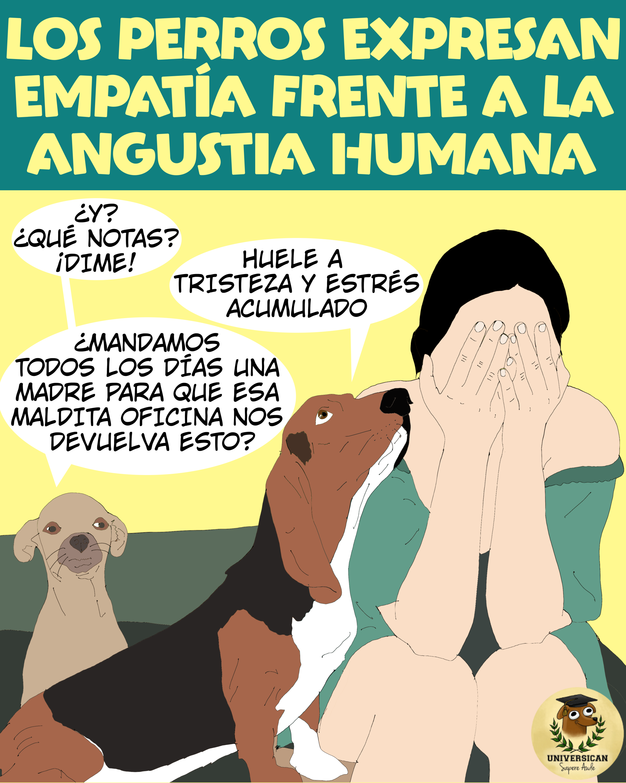 Dos perros se muestran preocupados ante la angustia de su humana, mostrando empatía y comportamientos de consuelo hacia ella.