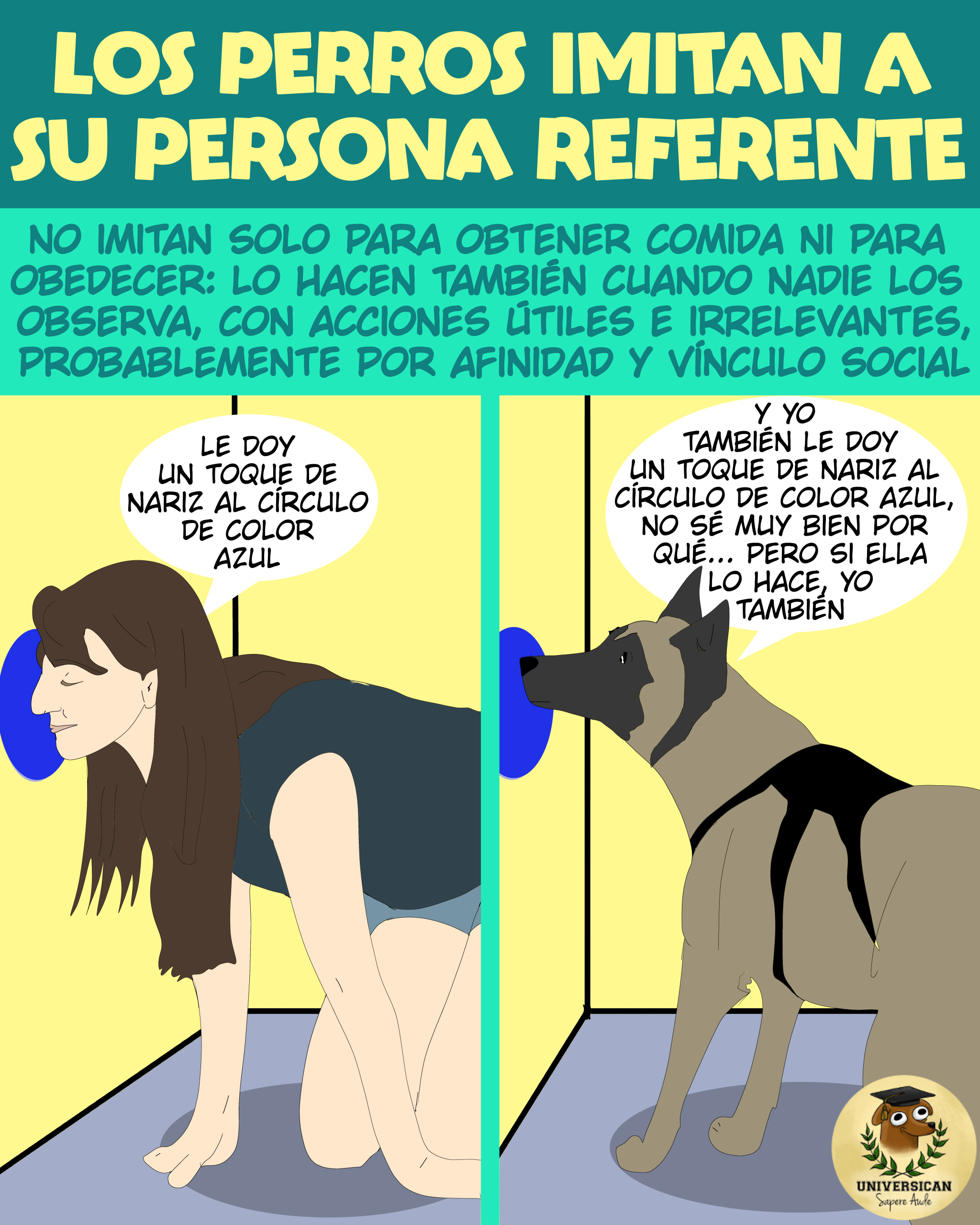 En la parte superior, texto grande: “Los perros imitan a su persona referente”. Debajo, un recuadro dividido en dos mitades verticales. En la mitad izquierda, una persona arrodillada y apoyada en cuatro patas toca con la nariz un círculo azul pintado en la pared. Un globo de diálogo junto a su cabeza dice: “Le doy un toque de nariz al círculo de color azul”. En la mitad derecha, un perro de tamaño mediano imita la postura y también toca con la nariz el mismo círculo azul. Un globo de diálogo junto a su cabeza dice: “Y yo también le doy un toque de nariz al círculo de color azul, no sé muy bien por qué… pero si ella lo hace, yo también”.