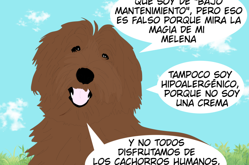 Ilustración de un Labradoodle en un prado con globos de diálogo que refutan mitos: no es de bajo mantenimiento, no es hipoalergénico y cada perro tiene personalidad propia.