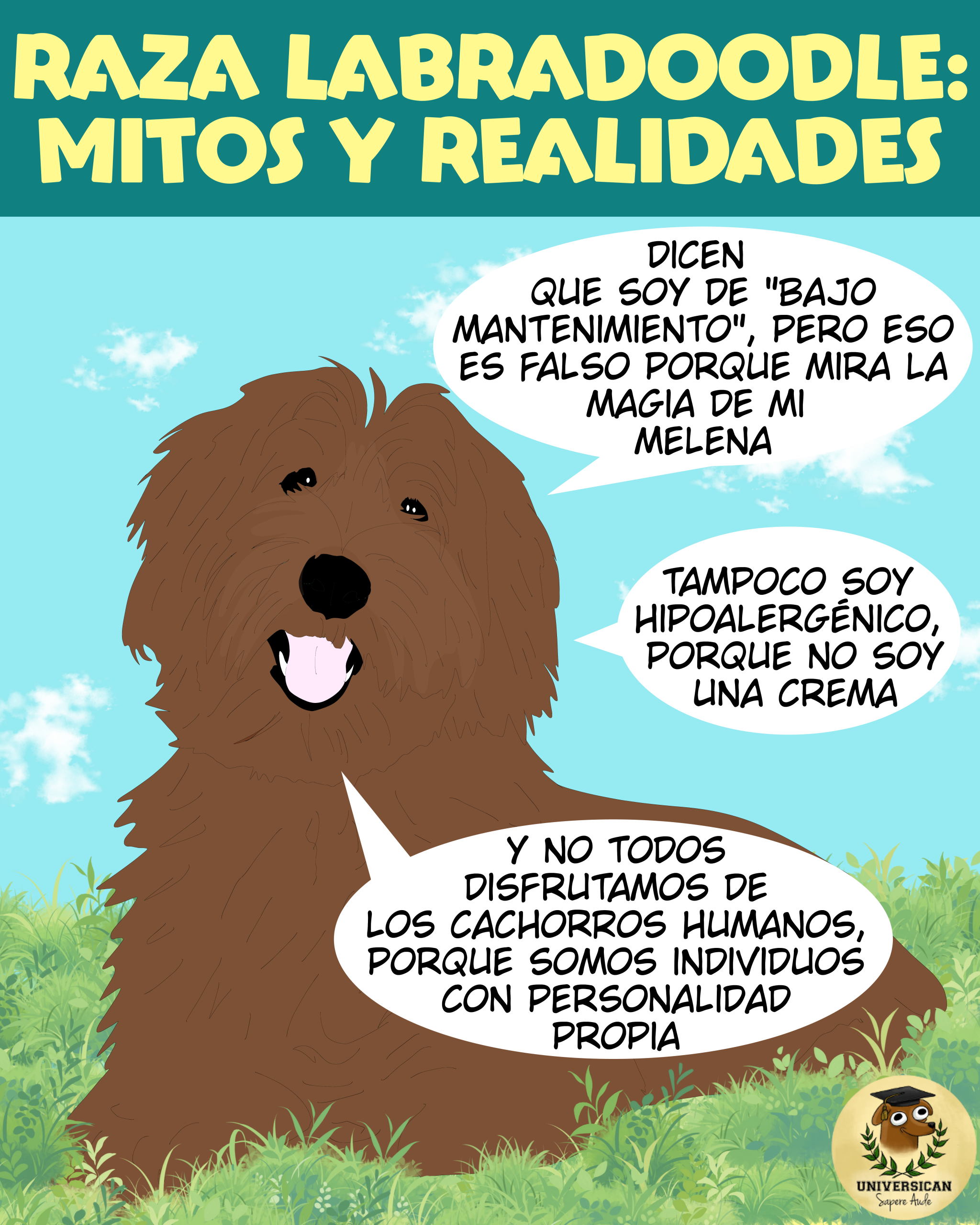 Ilustración de un Labradoodle en un prado con globos de diálogo que refutan mitos: no es de bajo mantenimiento, no es hipoalergénico y cada perro tiene personalidad propia.