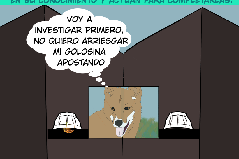 Un perro observa por una ventanita para obtener información sobre la localización del recipiente con golosinas.