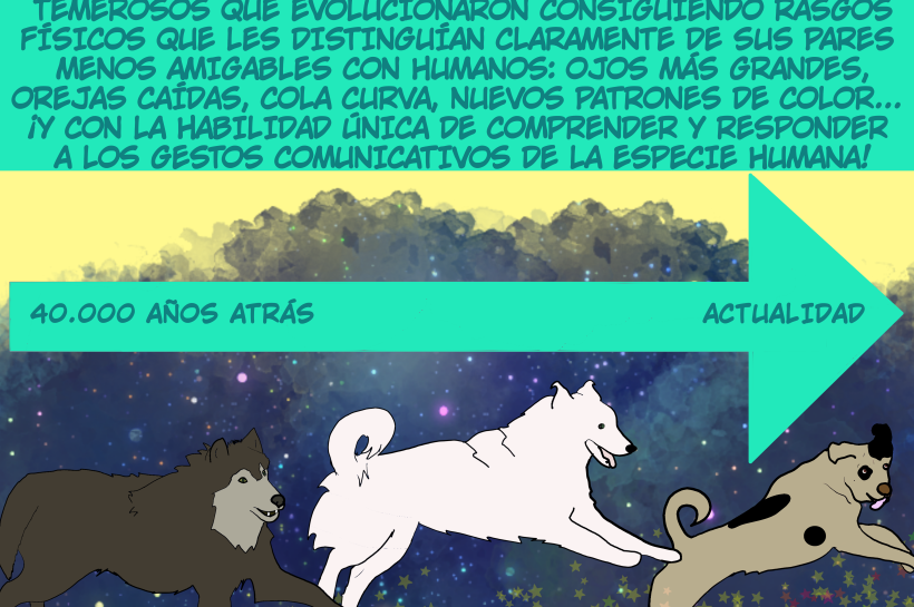 Ilustración que muestra la evolución de los lobos hacia los perros actuales, destacando cómo rasgos físicos y sociales se transformaron a lo largo de 40000 años hasta convertirlos en compañeros humanos.