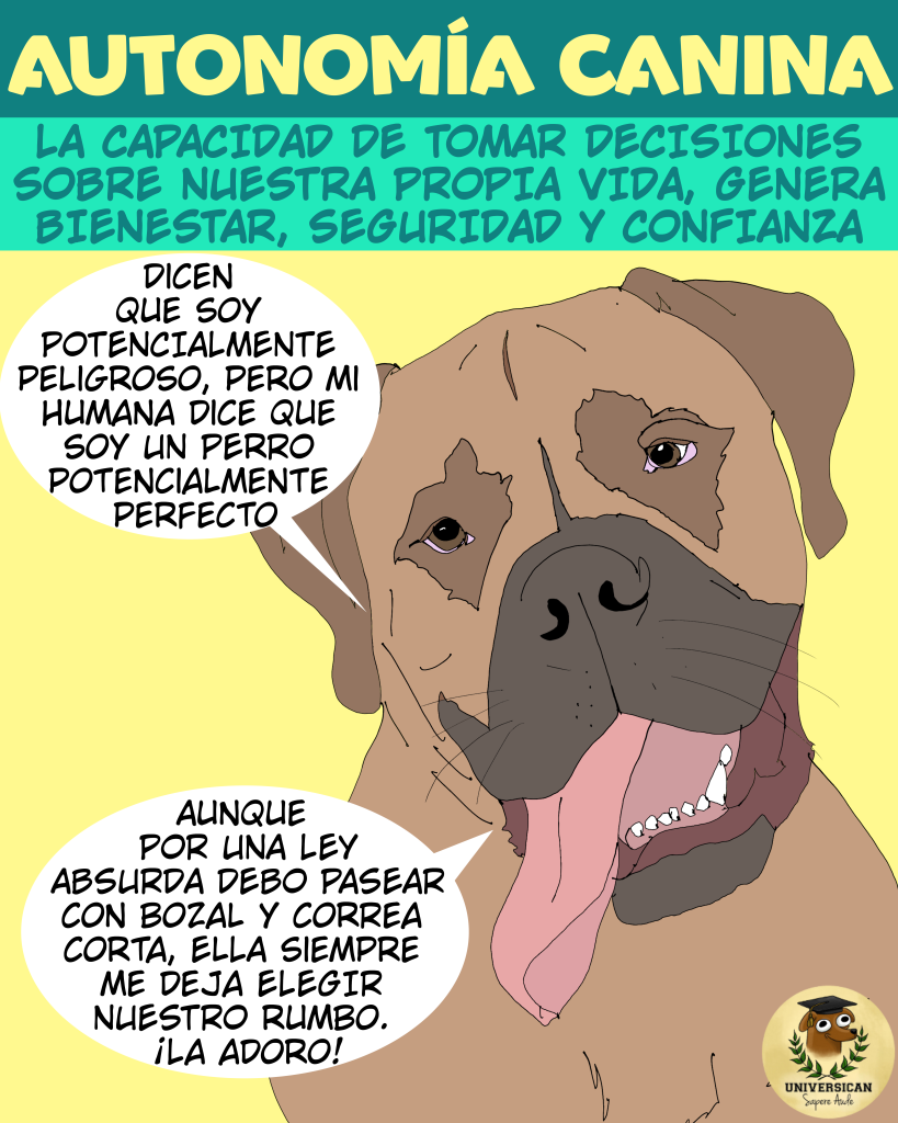 Un perro catalogado como PPP dice que su humana le deja escoger el camino a pesar de las leyes absurdas y restrictivas que le obligan a caminar con correa corta y bozal. El título dice autonomía canina, porque decidir es bienestar.
