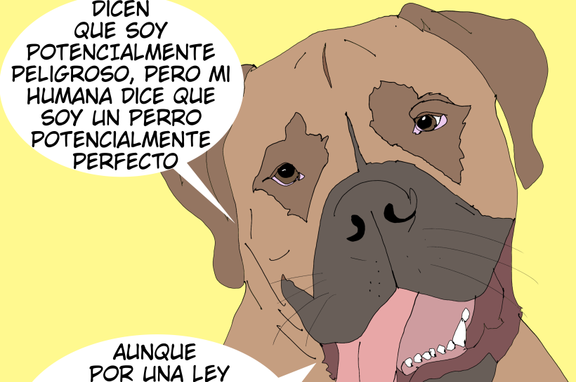 Un perro catalogado como PPP dice que su humana le deja escoger el camino a pesar de las leyes absurdas y restrictivas que le obligan a caminar con correa corta y bozal. El título dice autonomía canina, porque decidir es bienestar.