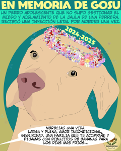 En memoria de Gosu, que merecía muchísimo más en la vida.