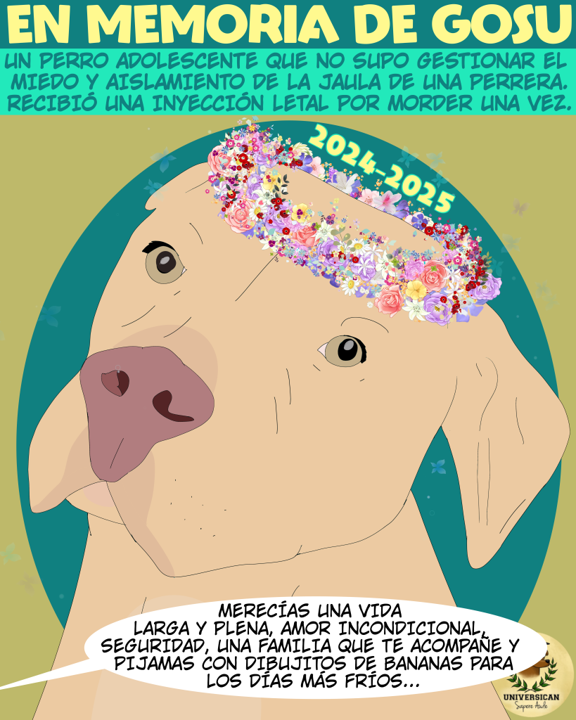 En memoria de Gosu, que merecía muchísimo más en la vida.
