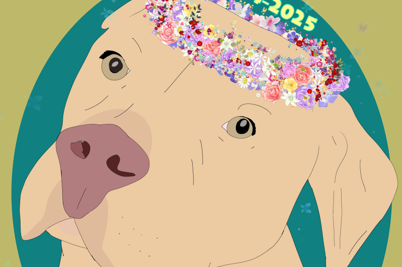 En memoria de Gosu, que merecía muchísimo más en la vida.