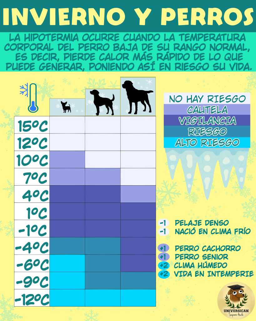 Tabla guía de temperaturas de riesgo para perros en invierno.