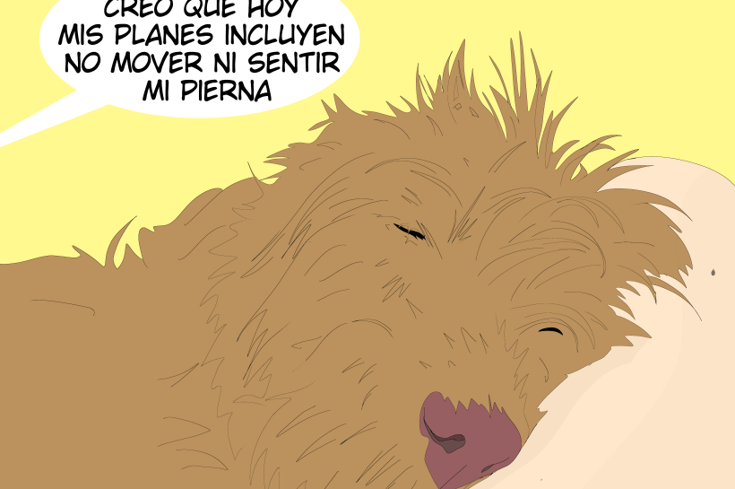 Ilustración de un perro grande y peludo dormido profundamente sobre su persona favorita, con expresión relajada. Texto: ‘Los perros duermen mejor si están con su persona favorita’. Bocadillo humorístico: ‘Bueno… creo que hoy mis planes incluyen no mover ni sentir mi pierna.’