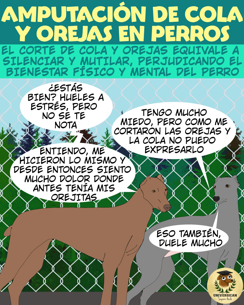 Viñeta ilustrativa: dos perros conversan sobre los efectos del corte de orejas y amputación de cola. El perro marrón explica cómo no puede expresar sus sentimientos tras la mutilación; el perro gris confirma sufrir lo mismo.