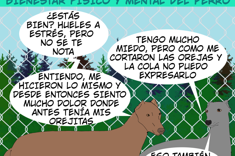 Viñeta ilustrativa: dos perros conversan sobre los efectos del corte de orejas y amputación de cola. El perro marrón explica cómo no puede expresar sus sentimientos tras la mutilación; el perro gris confirma sufrir lo mismo.