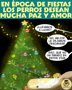 Perro durmiendo junto a un árbol navideño, destacando la necesidad de paz y amor para los perros en estas fiestas
