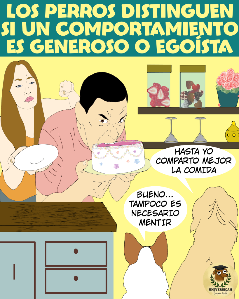 Los perros distinguen entre acciones generosas y egoístas.