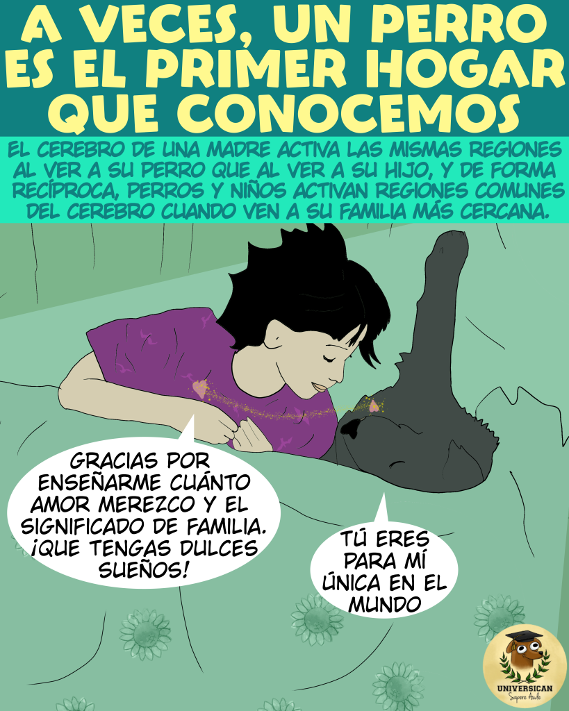 Titular: "A veces, un perro es el primer hogar que conocemos." Ilustración de una niña durmiendo junto a un perro negro. La niña dice: "Gracias por enseñarme cuánto amor merezco y el significado de familia. ¡Que tengas dulces sueños!" El perro responde: "Tú eres para mí única en el mundo."