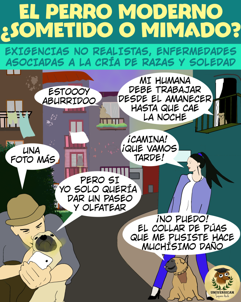 Ilustración que muestra desafíos del perro moderno como paseos poco enriquecidos, accesorios de castigo, soledad, etc.