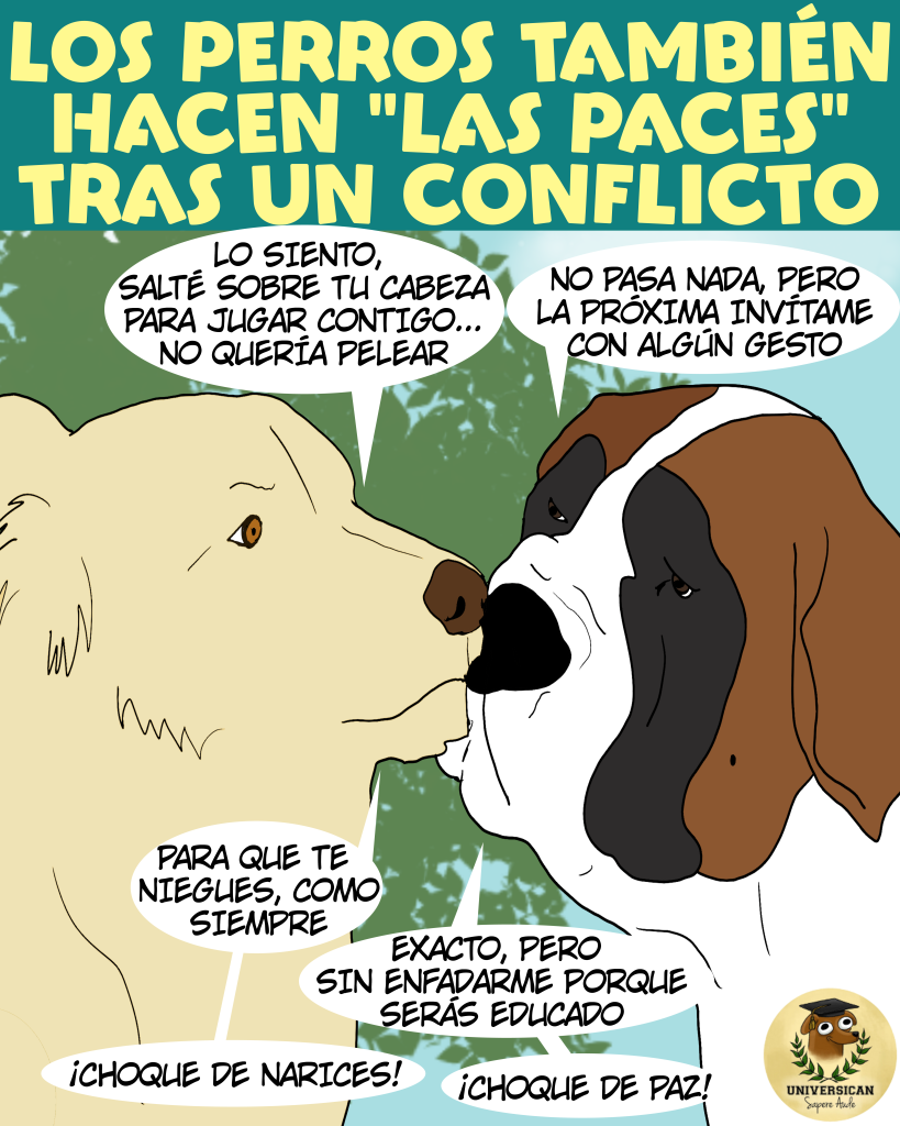 Dos perros reconciliándose con contacto de nariz tras un conflicto.