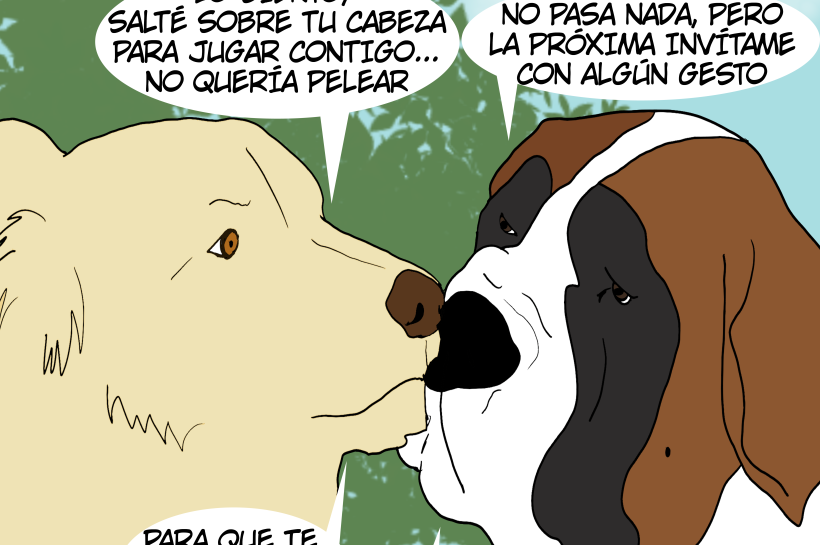 Dos perros reconciliándose con contacto de nariz tras un conflicto.